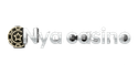 Nya  Casino